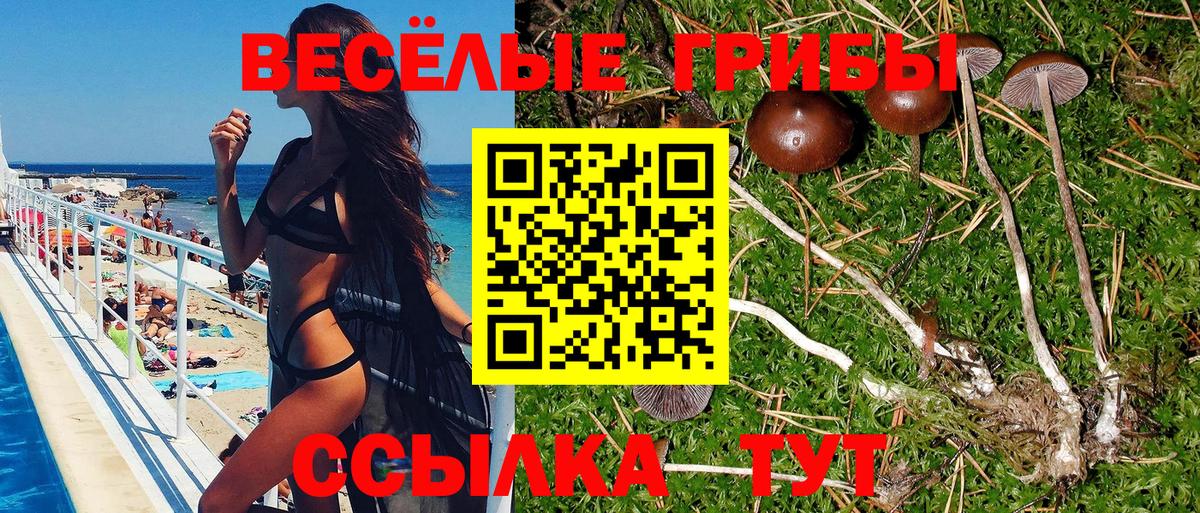 Псилоцибиновые грибы Cubensis Красноармейск
