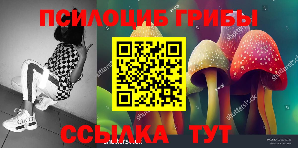 Красноармейск  Галлюциногенные грибы ЛСД  Вход с VPN 